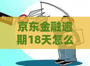 京东金融逾期18天怎么还有效