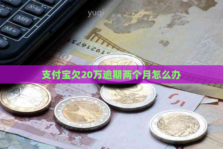 支付宝欠20万逾期两个月怎么办