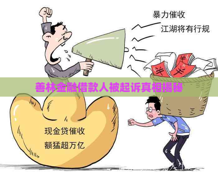 善林金融借款人被起诉真相揭秘