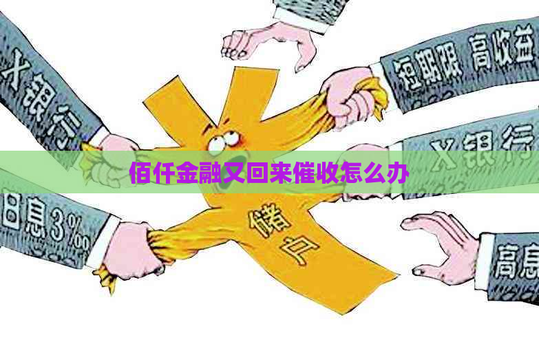 佰仟金融又回来怎么办