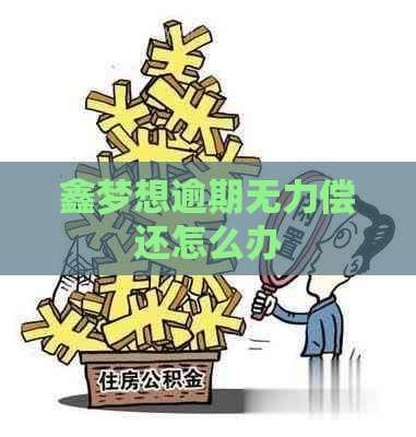 鑫梦想逾期无力偿还怎么办