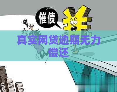 真实网贷逾期无力偿还