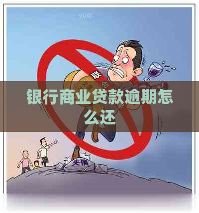 银行商业贷款逾期怎么还