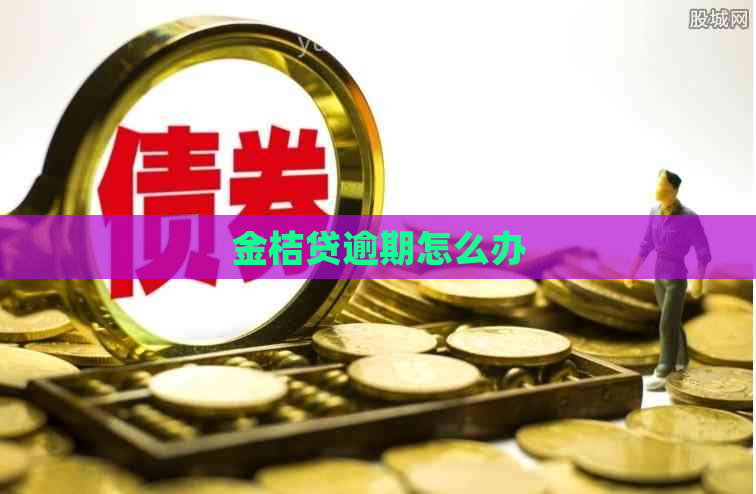 金桔贷逾期怎么办