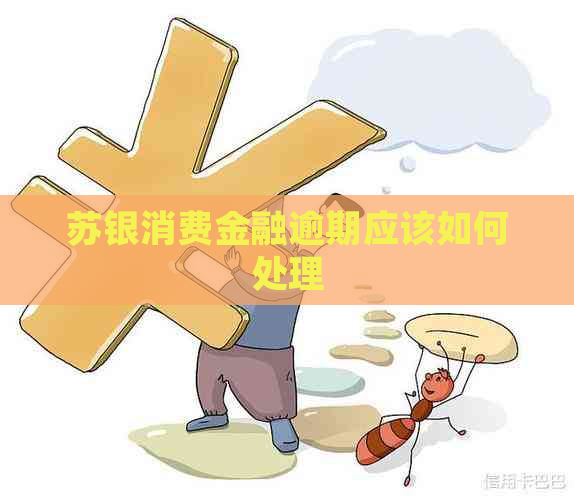 苏银消费金融逾期应该如何处理