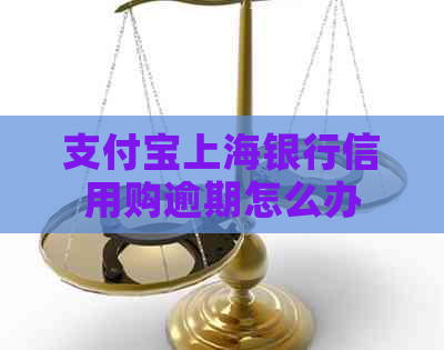 支付宝上海银行信用购逾期怎么办