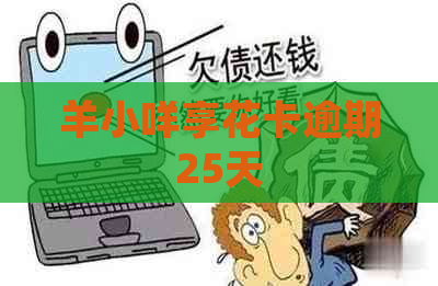 羊小咩享花卡逾期25天