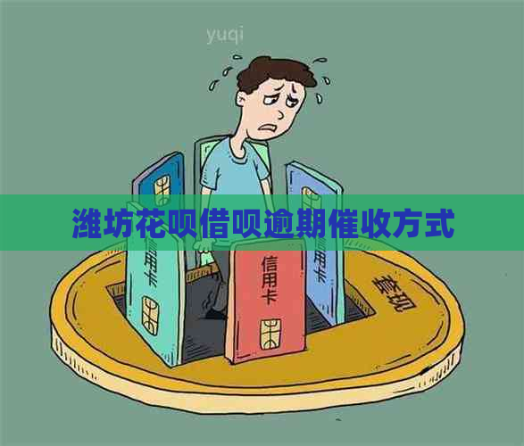 潍坊花呗借呗逾期方式