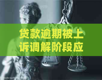 贷款逾期被上诉调解阶段应该怎么处理