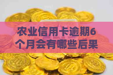 农业信用卡逾期6个月会有哪些后果