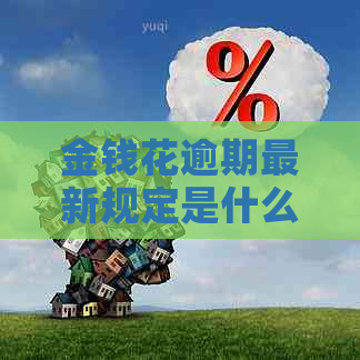 金钱花逾期最新规定是什么