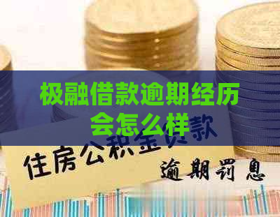 极融借款逾期经历会怎么样