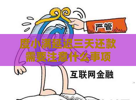 度小满延迟三天还款需要注意什么事项