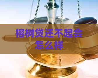 榕树贷还不起会怎么样