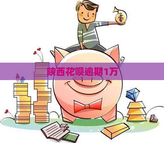 陕西花呗逾期1万