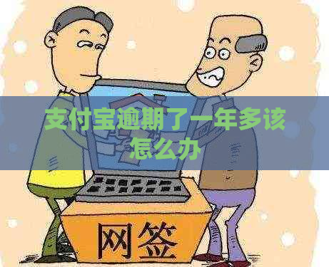 支付宝逾期了一年多该怎么办