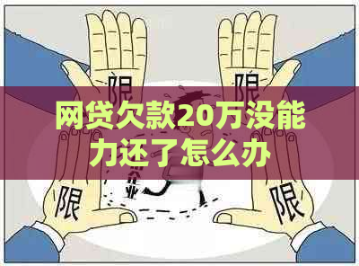 网贷欠款20万没能力还了怎么办