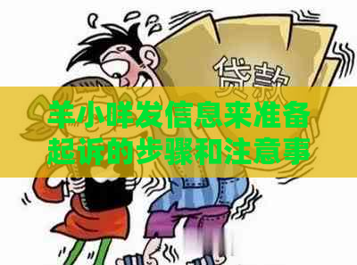 羊小咩发信息来准备起诉的步骤和注意事项