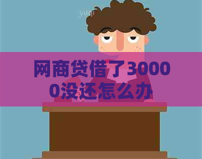 网商贷借了30000没还怎么办