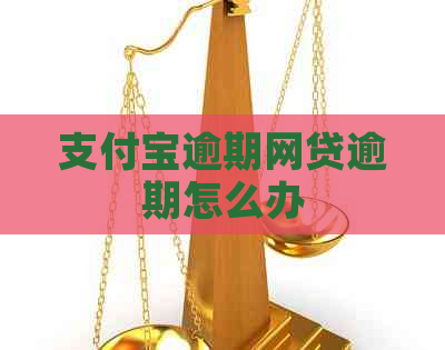 支付宝逾期网贷逾期怎么办