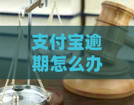 支付宝逾期怎么办延期还款申请方法及流程