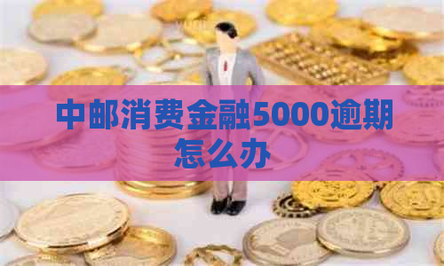 中邮消费金融5000逾期怎么办