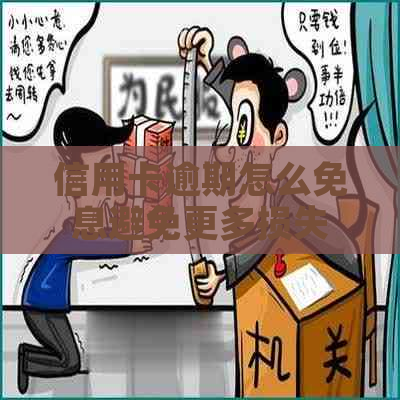 信用卡逾期怎么免息避免更多损失