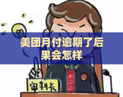 美团月付逾期了后果会怎样