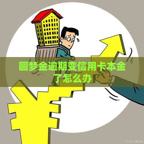 圆梦金逾期变信用卡本金了怎么办