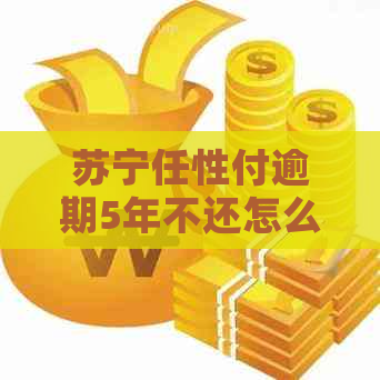 苏宁任性付逾期5年不还怎么办