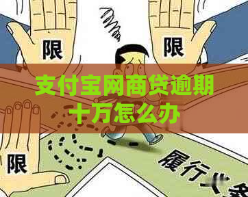 支付宝网商贷逾期十万怎么办