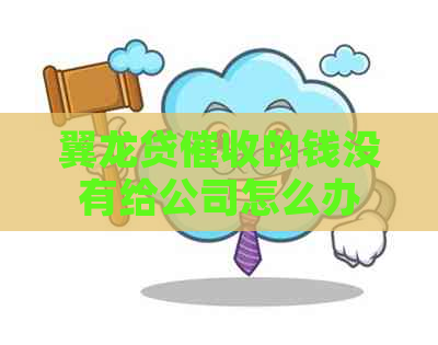 翼龙贷的钱没有给公司怎么办