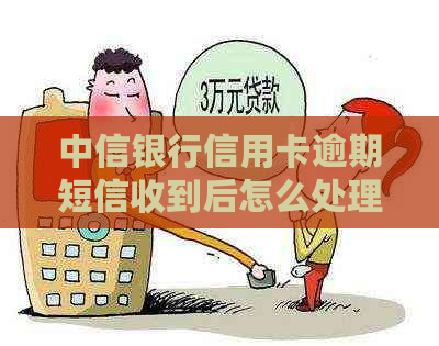 中信银行信用卡逾期短信收到后怎么处理