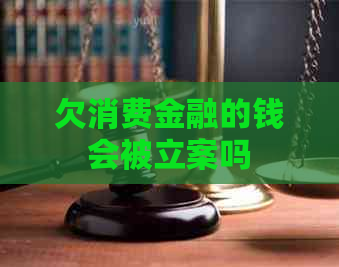 欠消费金融的钱会被立案吗