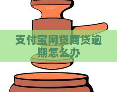 支付宝网贷商贷逾期怎么办