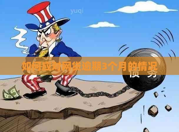 如何应对网贷逾期3个月的情况