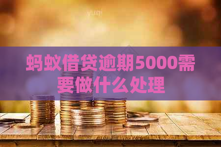 蚂蚁借贷逾期5000需要做什么处理