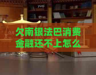 欠南银法巴消费金融还不上怎么办