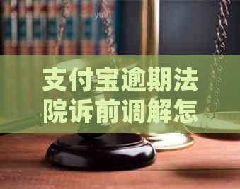 支付宝逾期法院诉前调解怎么操作