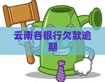 云南各银行欠款逾期