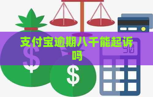 支付宝逾期八千能起诉吗