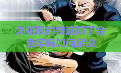 欠花呗的钱逾期了会坐牢吗如何解决