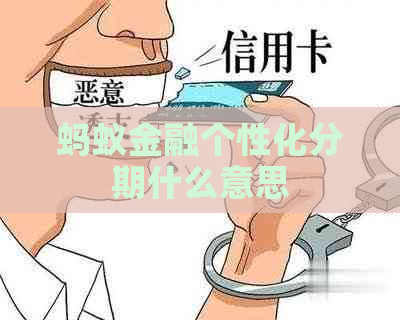 蚂蚁金融个性化分期什么意思