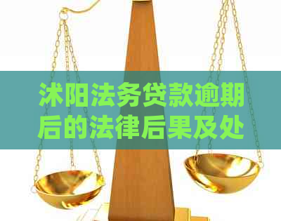 沭阳法务贷款逾期后的法律后果及处理方法