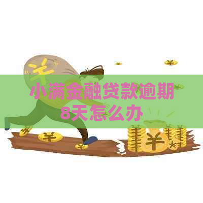 小满金融贷款逾期8天怎么办