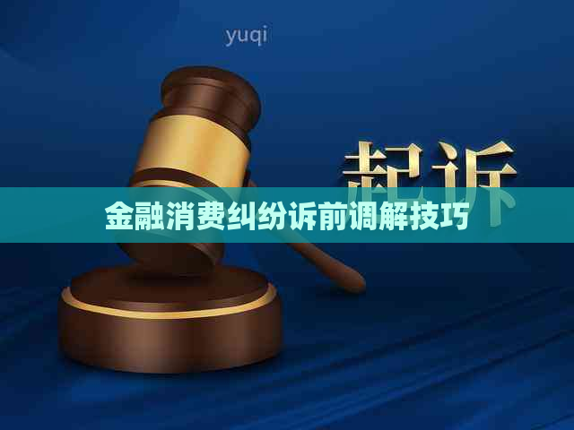 金融消费纠纷诉前调解技巧