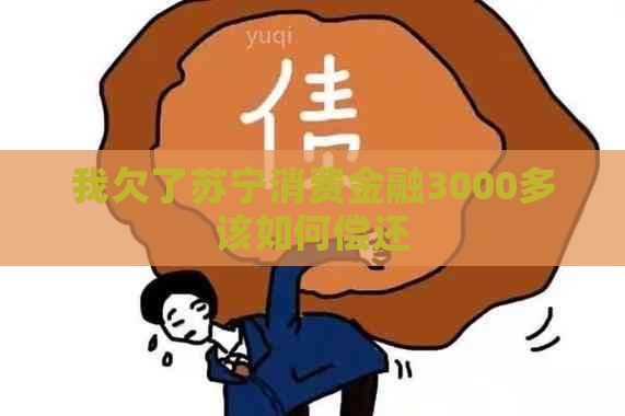 我欠了苏宁消费金融3000多该如何偿还