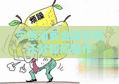 宁银消费金融暂缓还款如何操作