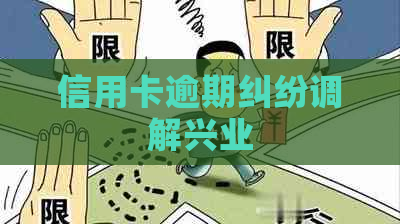 信用卡逾期纠纷调解兴业