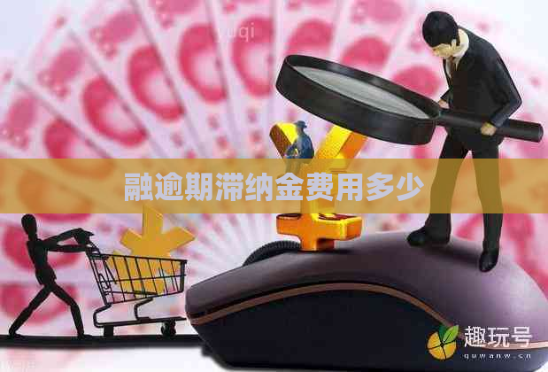 融逾期滞纳金费用多少